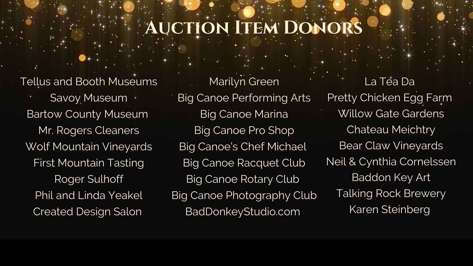 2023 Casino Night Sponsors Slide 13